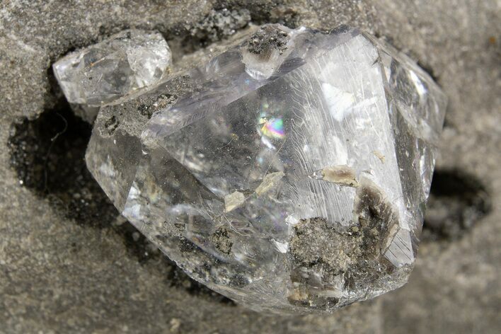 Herkimer Diamonds in Matrix - The Ace of Diamonds Mine, New York #324469